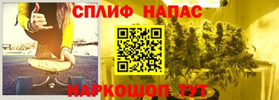 гашик Будённовск
