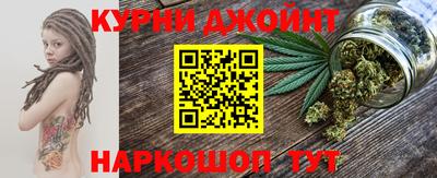 гашик Будённовск
