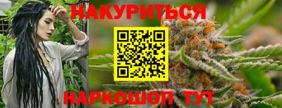 гашик Будённовск