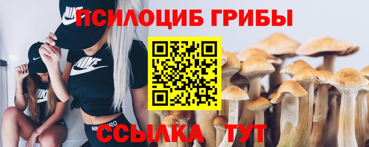 Ленинск-Кузнецкий  Галлюциногенные грибы ЛСД  Галлюциногенные грибы Cubensis  Вход с VPN 